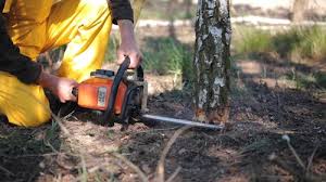 Lawn Grading and Leveling in Harrisonburg, VA